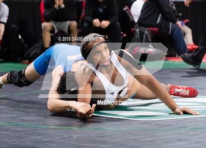 Thumbnail 3 in CIF State Boys Wrestling Championships (Semifinals) photogallery.