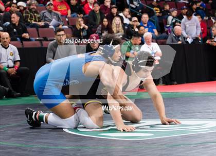 Thumbnail 1 in CIF State Boys Wrestling Championships (Semifinals) photogallery.