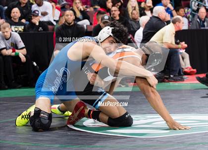 Thumbnail 1 in CIF State Boys Wrestling Championships (Semifinals) photogallery.