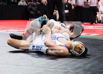 Thumbnail 3 in CIF State Boys Wrestling Championships (Semifinals) photogallery.