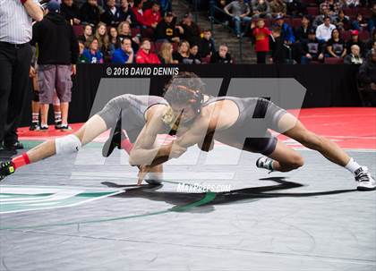 Thumbnail 1 in CIF State Boys Wrestling Championships (Semifinals) photogallery.