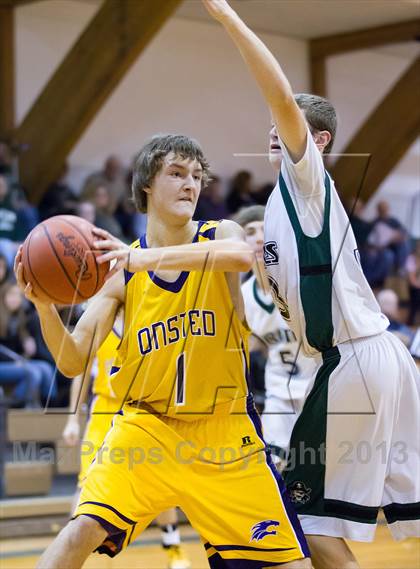 Thumbnail 1 in Onsted @ Napoleon JV photogallery.