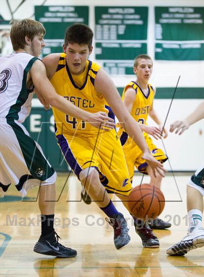 Thumbnail 3 in Onsted @ Napoleon JV photogallery.