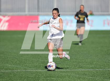 Thumbnail 1 in Mountain Ridge vs. Lone Peak (UHSAA 6A Semi Final) photogallery.