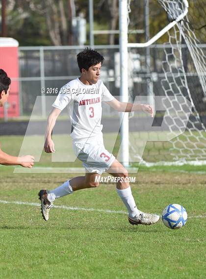 Thumbnail 2 in St. Joseph Academy @ Antonian Prep photogallery.