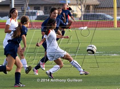 Thumbnail 1 in Orange vs. Bolsa Grande  photogallery.
