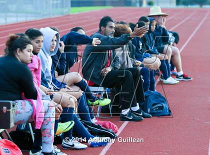Thumbnail 2 in Orange vs. Bolsa Grande  photogallery.