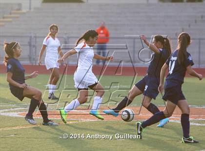 Thumbnail 3 in Orange vs. Bolsa Grande  photogallery.