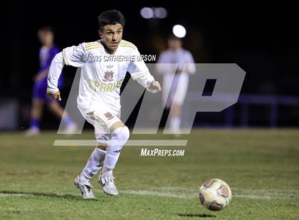 Thumbnail 1 in Sparks @ Reed photogallery.