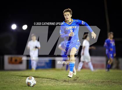 Thumbnail 2 in Sparks @ Reed photogallery.