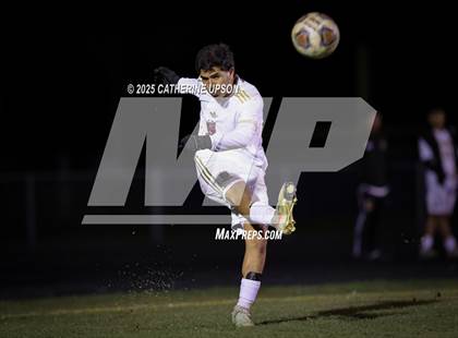 Thumbnail 2 in Sparks @ Reed photogallery.