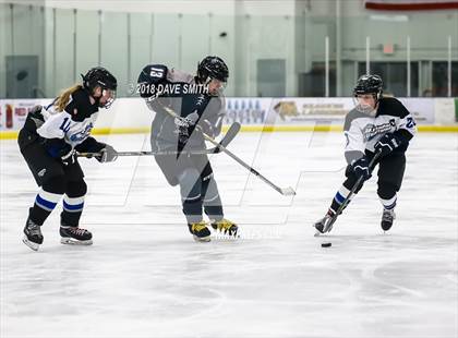 Thumbnail 2 in Cap City Cougars @ Lakeshore Lightning photogallery.