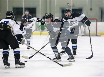 Thumbnail 1 in Cap City Cougars @ Lakeshore Lightning photogallery.