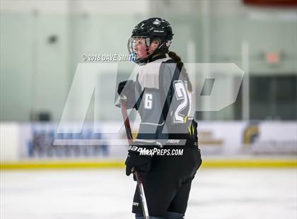 Thumbnail 3 in Cap City Cougars @ Lakeshore Lightning photogallery.