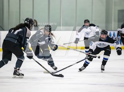 Thumbnail 1 in Cap City Cougars @ Lakeshore Lightning photogallery.