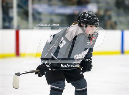 Thumbnail 3 in Cap City Cougars @ Lakeshore Lightning photogallery.