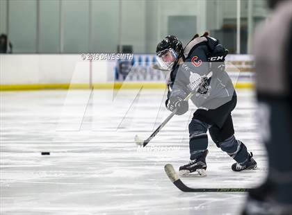 Thumbnail 1 in Cap City Cougars @ Lakeshore Lightning photogallery.