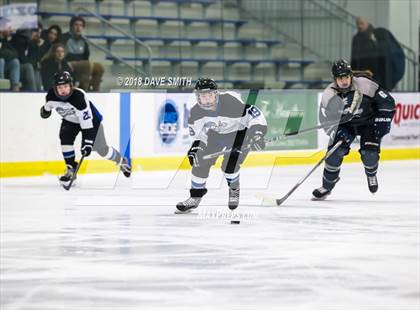 Thumbnail 3 in Cap City Cougars @ Lakeshore Lightning photogallery.