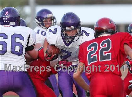Thumbnail 3 in Shasta @ Foothill photogallery.