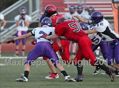 Thumbnail 2 in Shasta @ Foothill photogallery.