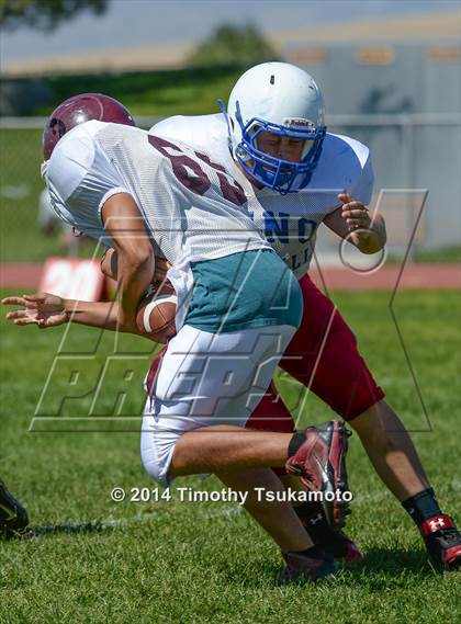 Thumbnail 2 in Reno vs Elko  photogallery.