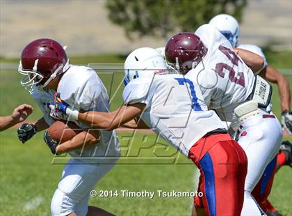 Thumbnail 2 in Reno vs Elko  photogallery.