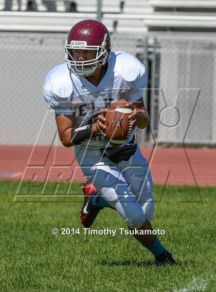 Thumbnail 2 in Reno vs Elko  photogallery.