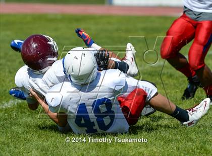 Thumbnail 2 in Reno vs Elko  photogallery.