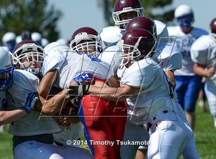 Thumbnail 2 in Reno vs Elko  photogallery.