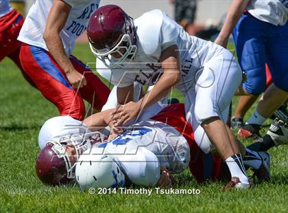 Thumbnail 2 in Reno vs Elko  photogallery.