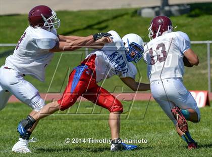 Thumbnail 3 in Reno vs Elko  photogallery.