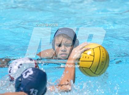 Thumbnail 3 in Great Oak vs JW North photogallery.