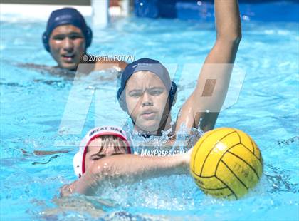 Thumbnail 1 in Great Oak vs JW North photogallery.