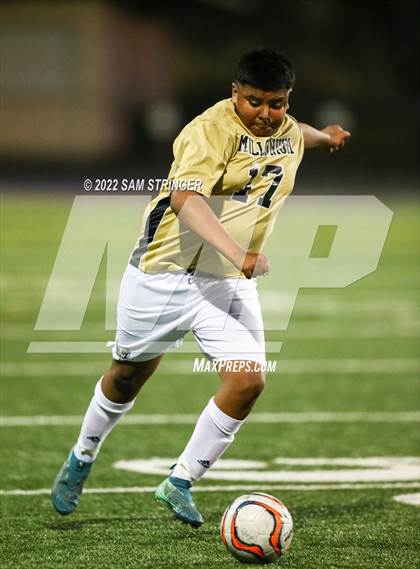 Thumbnail 1 in Millennium @ Bret Harte photogallery.