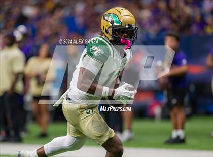 Thumbnail 3 in Miller vs. DeSoto photogallery.