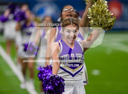 Thumbnail 1 in Miller vs. DeSoto photogallery.