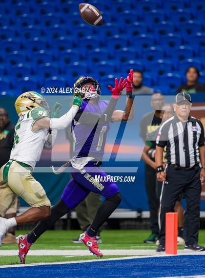 Thumbnail 2 in Miller vs. DeSoto photogallery.