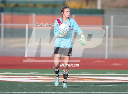 Thumbnail 1 in Perry vs. Desert Vista (Coyote Classic)  photogallery.