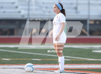Thumbnail 1 in Perry vs. Desert Vista (Coyote Classic)  photogallery.