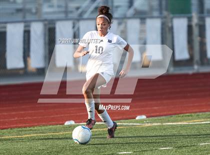 Thumbnail 1 in Perry vs. Desert Vista (Coyote Classic)  photogallery.