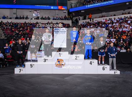 Thumbnail 2 in CIF State Boys Wrestling Championships (Awards) photogallery.