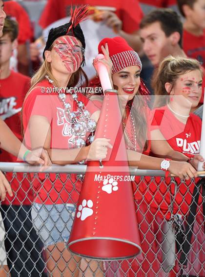 Thumbnail 1 in Holliday @ Ponder photogallery.