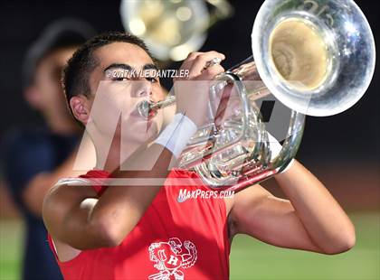Thumbnail 3 in Holliday @ Ponder photogallery.