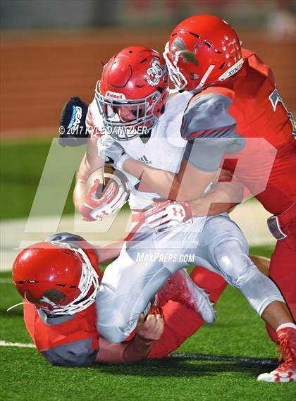 Thumbnail 1 in Holliday @ Ponder photogallery.