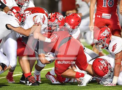 Thumbnail 1 in Holliday @ Ponder photogallery.