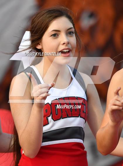 Thumbnail 3 in Holliday @ Ponder photogallery.