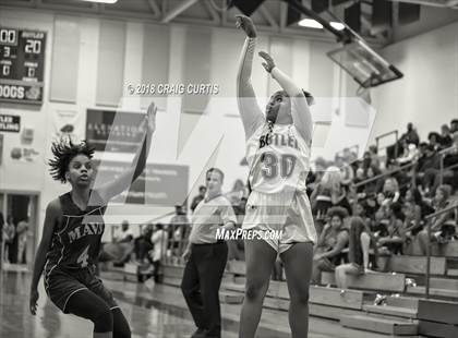 Thumbnail 1 in Mallard Creek @ David W. Butler photogallery.