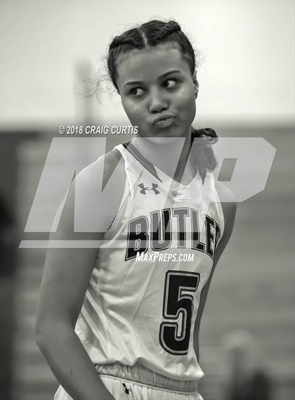 Thumbnail 1 in Mallard Creek @ David W. Butler photogallery.
