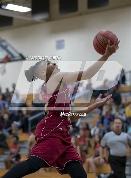 Thumbnail 1 in Mallard Creek @ David W. Butler photogallery.