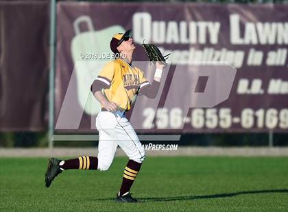 Thumbnail 3 in Madison County @ Madison Academy photogallery.